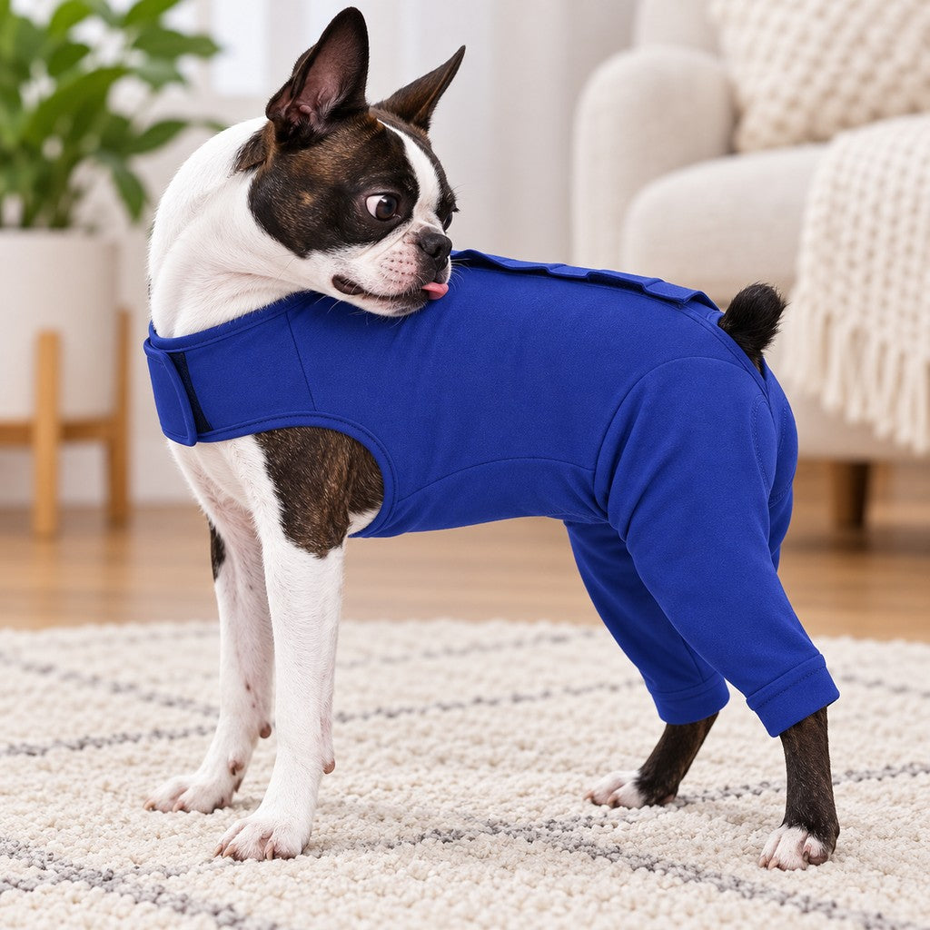 Dog Post-Surgery Recovery Suit - Rear Leg Anti-Lick Cone Alternative