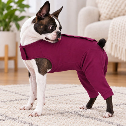 Dog Post-Surgery Recovery Suit - Rear Leg Anti-Lick Cone Alternative