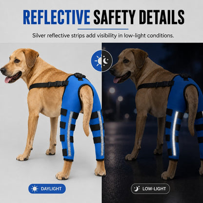 Reflective Dog Rear Leg Support Brace for Evening Walks & Recovery Comfort