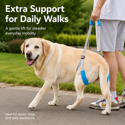 Dog Rear Leg Lift Support Sling for Stairs & Cars - Senior Dog Mobility Support