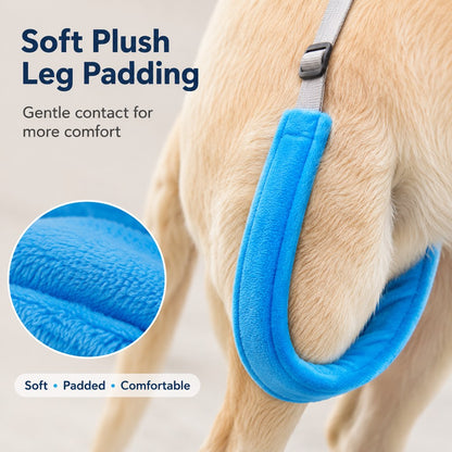 Dog Rear Leg Lift Support Sling for Stairs & Cars - Senior Dog Mobility Support