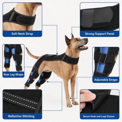 Dog Rear Leg Support Harness for Senior Dogs - Dual Hind Leg Mobility Aid for Walking & Standing