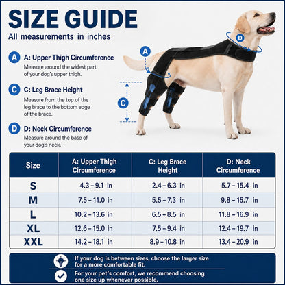 Dog Rear Leg Support Harness for Senior Dogs - Dual Hind Leg Mobility Aid for Walking & Standing