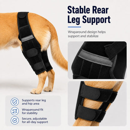 Dog Rear Leg Support Harness for Senior Dogs - Walking & Mobility Lift Assistance