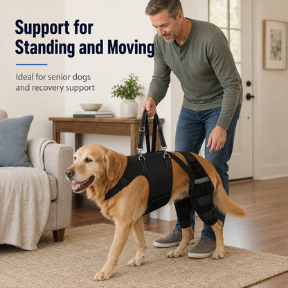 Dog Rear Leg Support Harness for Senior Dogs - Walking & Mobility Lift Assistance