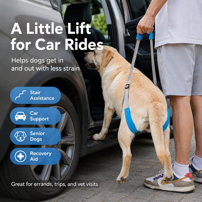 Dog Rear Leg Lift Support Sling for Stairs & Cars - Senior Dog Mobility Support
