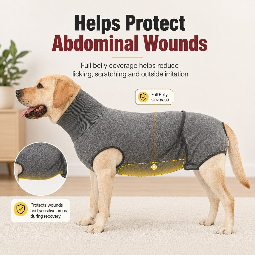 Dog Recovery Suit with Pad Layer for Post-Surgery, Heat Cycles & Licking Protection