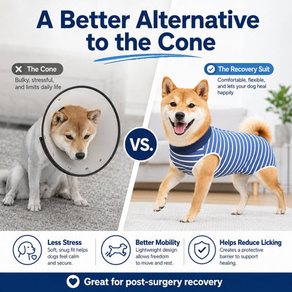 Dog Post-Surgery Recovery Suit for Spay & Neuter - Anti-Lick Cone Alternative