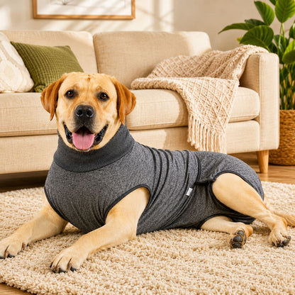 Dog Recovery Suit with Pad Layer for Post-Surgery, Heat Cycles & Licking Protection