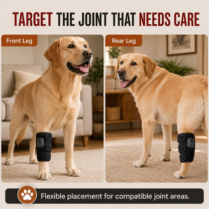 Dog Red Light Joint Wrap for Senior Dogs & Post-Walk Comfort - 20-LED Adjustable Mobility Support