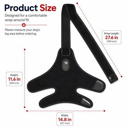 Red light therapy leg brace for dogs, suitable for senior and active dogs, provides comfort and support for hind legs during activity.
