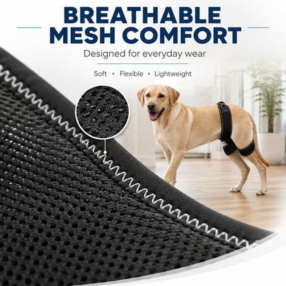Dog Hip & Rear Leg Support Brace – Adjustable Dual Hind-Leg Stability Wrap for Senior Dogs, Hardwood Floors & Daily Walks
