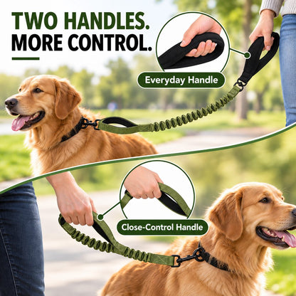 Dual Handle Shock-Absorbing Bungee Dog Leash for City Walks, Jogging & Hiking - Softer Pulls, Quick Close Control