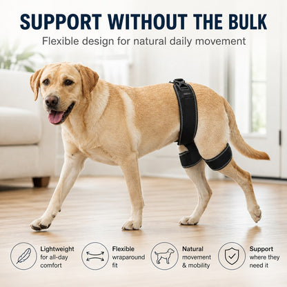 Dog Hip & Rear Leg Support Brace – Adjustable Dual Hind-Leg Stability Wrap for Senior Dogs, Hardwood Floors & Daily Walks