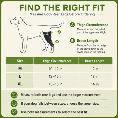 Dual Rear Leg Dog Support Brace with Harness - Walking Stability for Weak Hind Legs