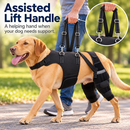 Adjustable Dual Rear Leg Knee Brace for Dogs with Lift Handle – Walking & Standing Support