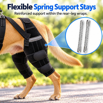 Adjustable Dual Rear Leg Knee Brace for Dogs with Lift Handle – Walking & Standing Support