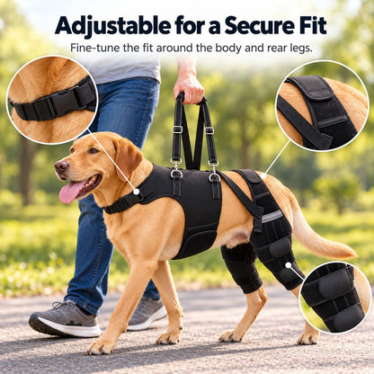 Adjustable Dual Rear Leg Knee Brace for Dogs with Lift Handle – Walking & Standing Support