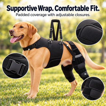 Adjustable Dual Rear Leg Knee Brace for Dogs with Lift Handle – Walking & Standing Support