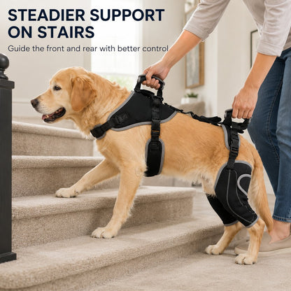 Full-Body Dog Lift Harness with Dual Rear-Leg Support - Easier Standing, Stairs & Car Entry