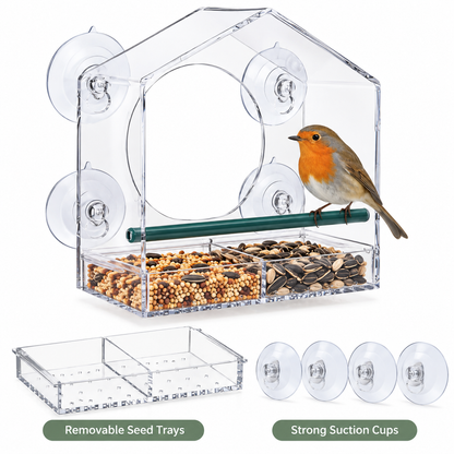 Clear Bird Watching Window Feeder | Family Favourite