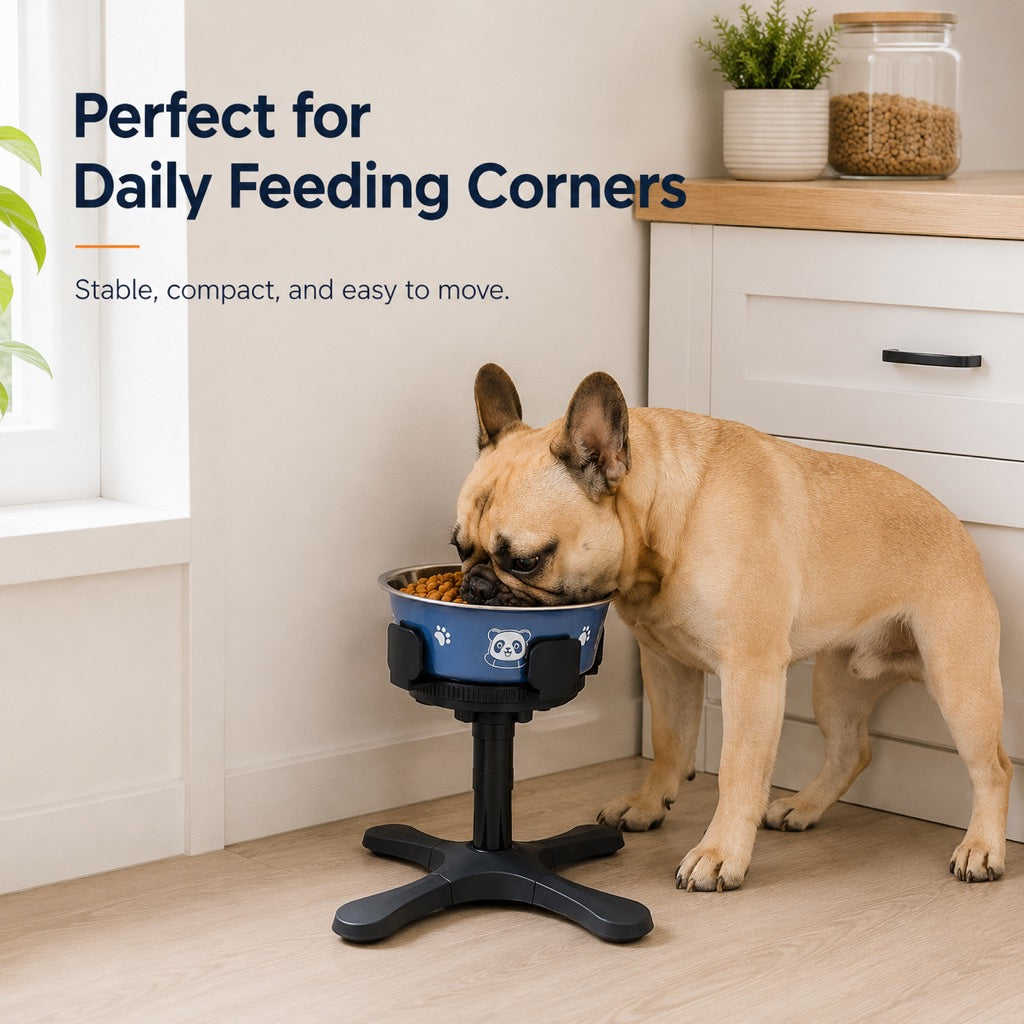 French Bulldog Adjustable Elevated Tilted Dog Bowl for Kitchen Feeding Corners - 3-Height Stand with Slow Feeder Insert to Reduce Neck Bending & Mess