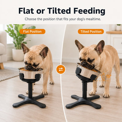 French Bulldog Adjustable Elevated Tilted Dog Bowl for Kitchen Feeding Corners - 3-Height Stand with Slow Feeder Insert to Reduce Neck Bending & Mess