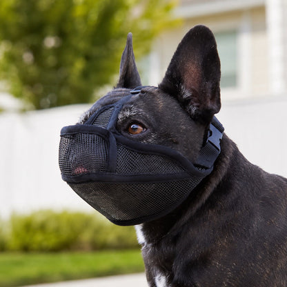 French Bulldog Breathable Mesh Muzzle for Walks, Grooming & Scavenging Control - Drink-Friendly Short-Snout Dog Muzzle
