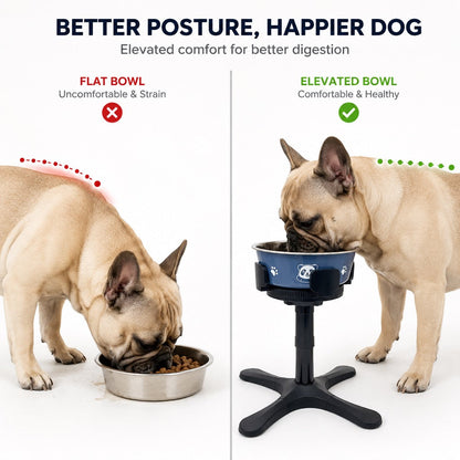 French Bulldog Adjustable Elevated Tilted Dog Bowl for Kitchen Feeding Corners - 3-Height Stand with Slow Feeder Insert to Reduce Neck Bending & Mess