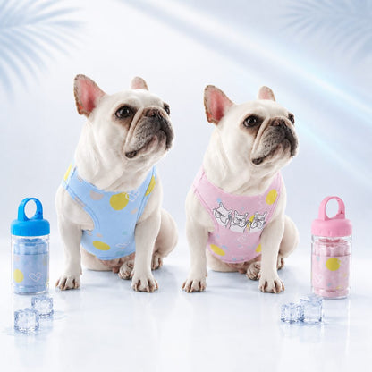 French Bulldog Cooling Vest for Hot Summer Walks