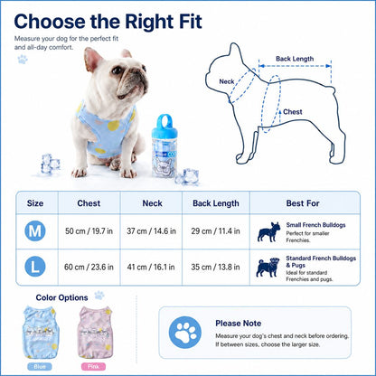 French Bulldog Cooling Vest for Hot Summer Walks