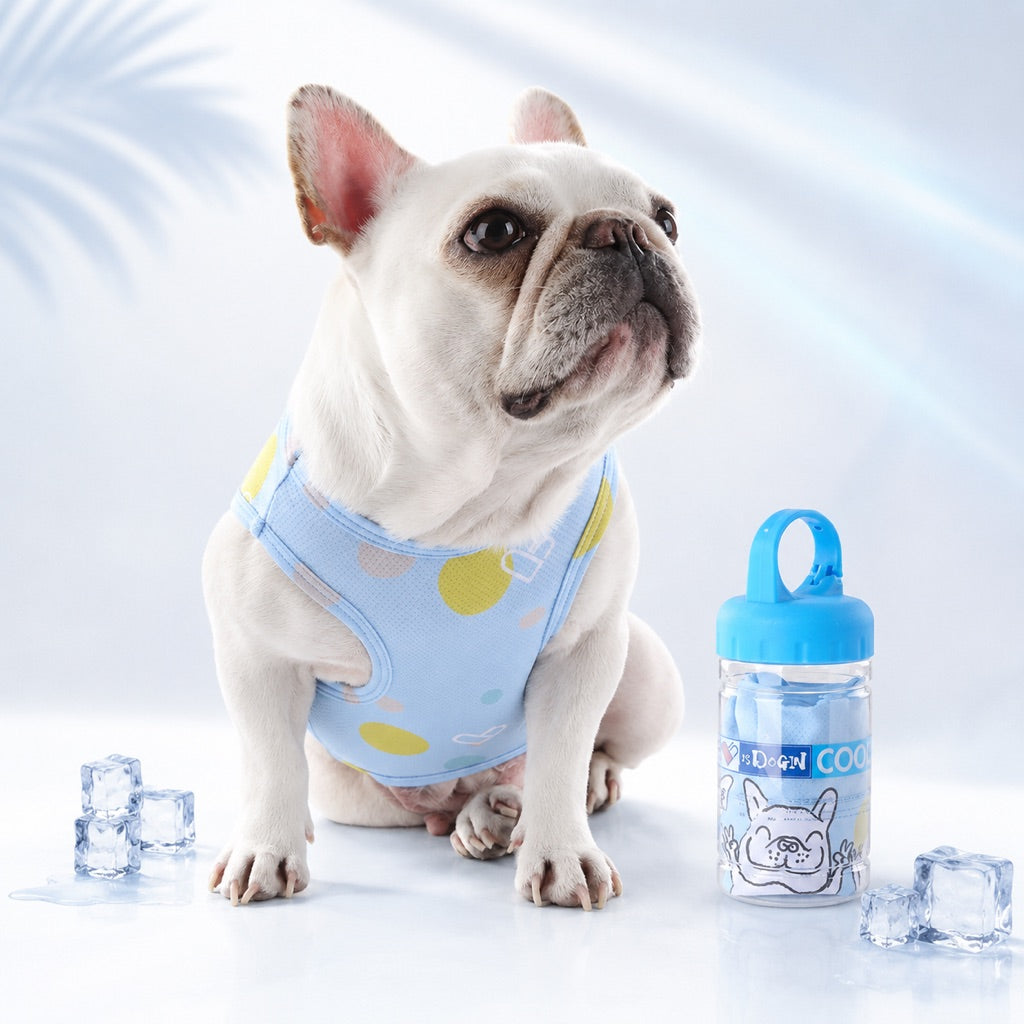 French Bulldog Cooling Vest for Hot Summer Walks