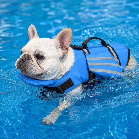 French Bulldog Pool & Beach Reflective Angel-Wing Dog Life Jacket - Chin Float Support for Flat-Faced Dogs