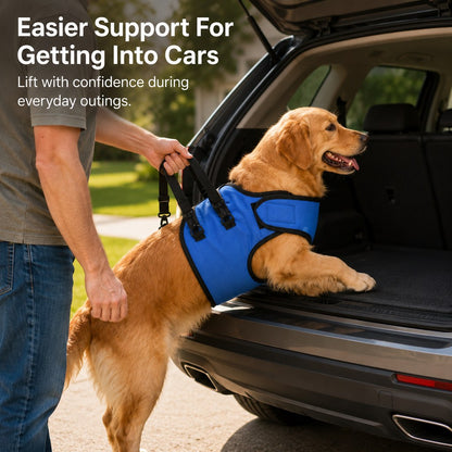 Front Leg Support Harness for Senior Dogs – Mobility Lift Aid for Walking, Stairs & Car Rides