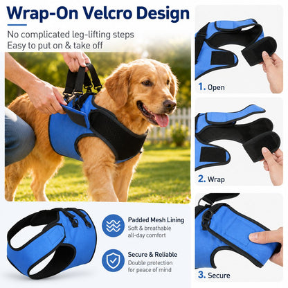 Front Leg Support Harness for Senior Dogs – Mobility Lift Aid for Walking, Stairs & Car Rides