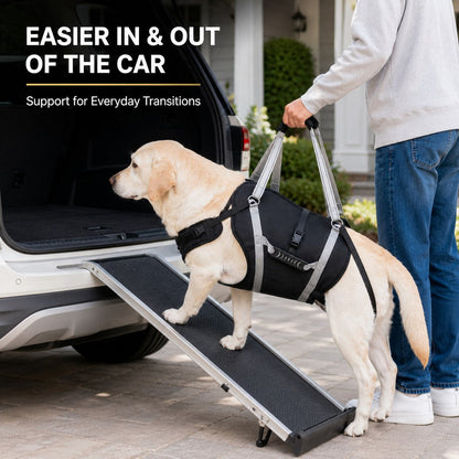 Full-Body Dog Lift Support Harness for Large Senior Dogs - Easier Stairs, Standing & Car Entry