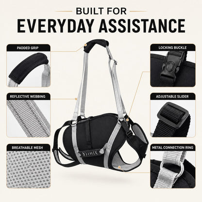 Full-Body Dog Lift Support Harness for Large Senior Dogs - Easier Stairs, Standing & Car Entry