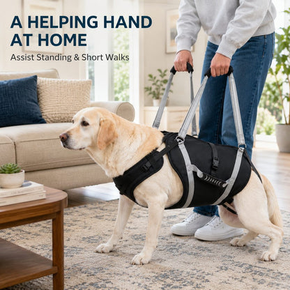 Full-Body Dog Lift Support Harness for Large Senior Dogs - Easier Stairs, Standing & Car Entry