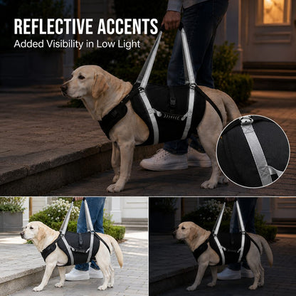 Full-Body Dog Lift Support Harness for Large Senior Dogs - Easier Stairs, Standing & Car Entry
