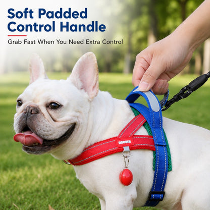 No-Choke French Bulldog Harness & Leash Set for Daily Walks - Reflective, Easy-Control Fit for Broad-Chest Dogs
