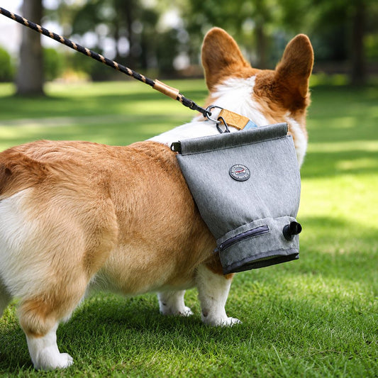 Dog Poop Bag Holder for Walks - Carry Used Waste Bags Hands-Free Until the Next Trash Can