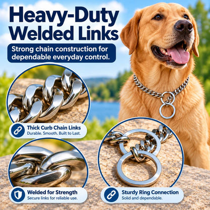 Stainless Steel Slip Chain Dog Collar for Walks & Training – Smooth Polished Links