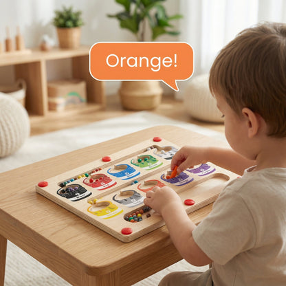 WonderMaze™ Magnetic Montessori Labyrinth | Family Favourite