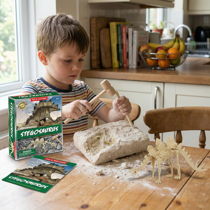 Dinosaur Fossil Excavation Kit – Kids