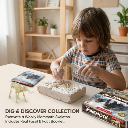Dinosaur Fossil Excavation Kit – Kids
