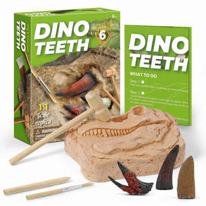 Dinosaur Fossil Excavation Kit – Kids