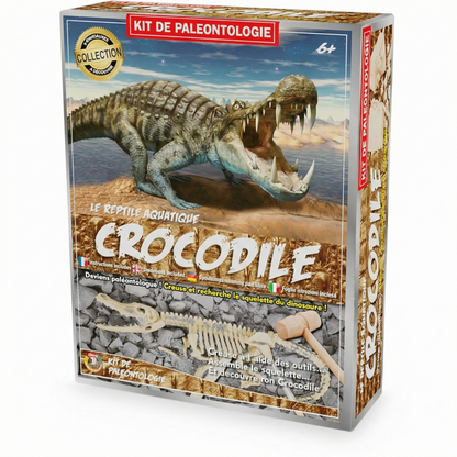 Dinosaur Fossil Excavation Kit – Kids