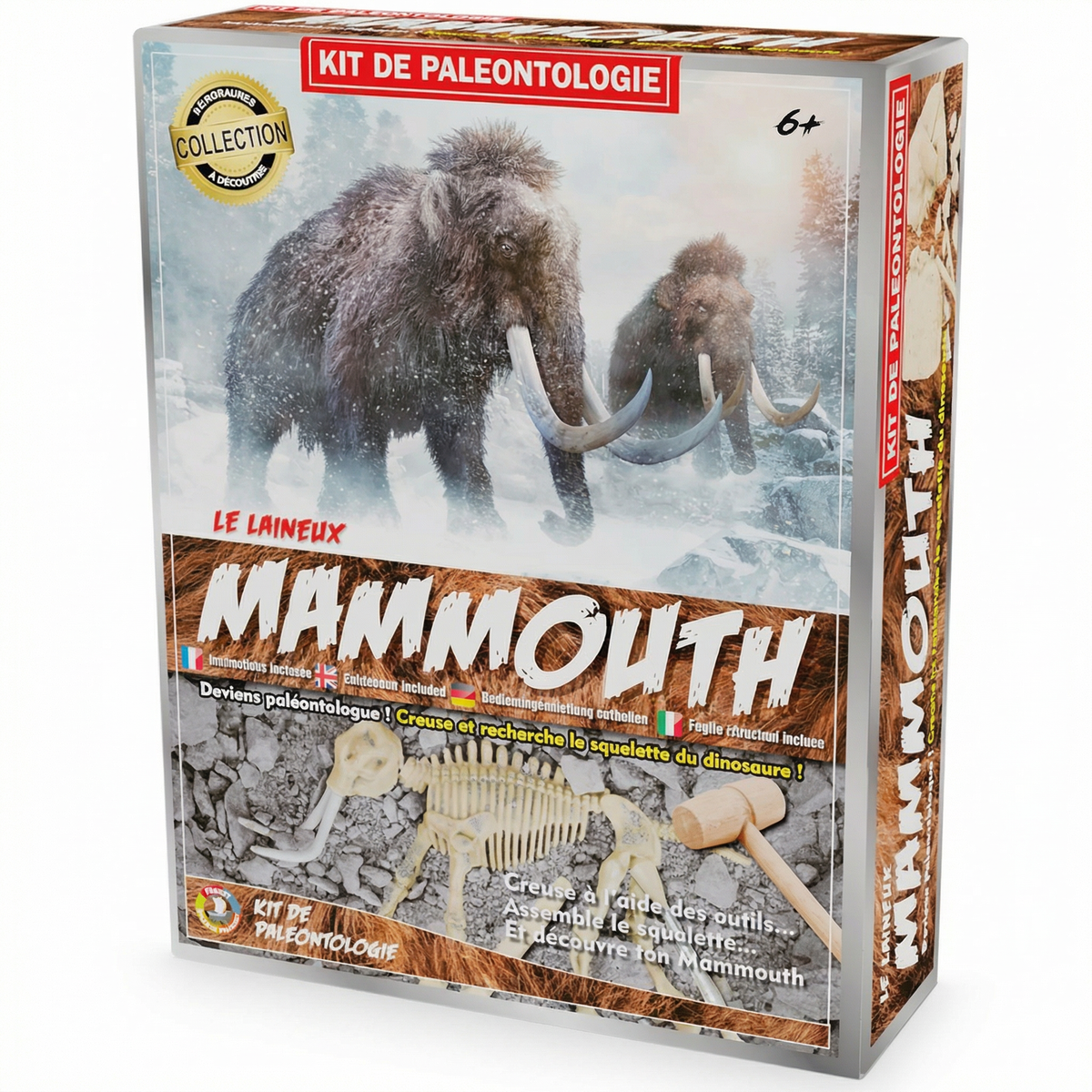 Dinosaur Fossil Excavation Kit – Kids