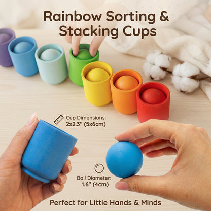 Montessori Wooden Colour Sorting Set | Family Favourite