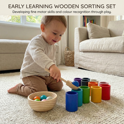 Montessori Wooden Colour Sorting Set | Family Favourite
